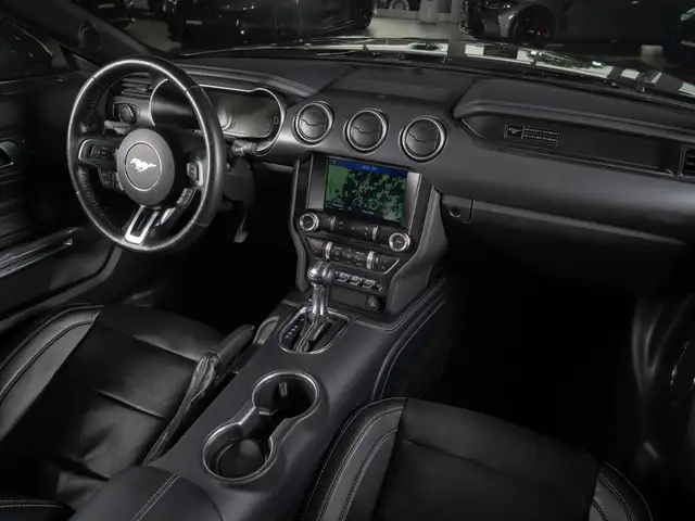 Ford Mustang view 13