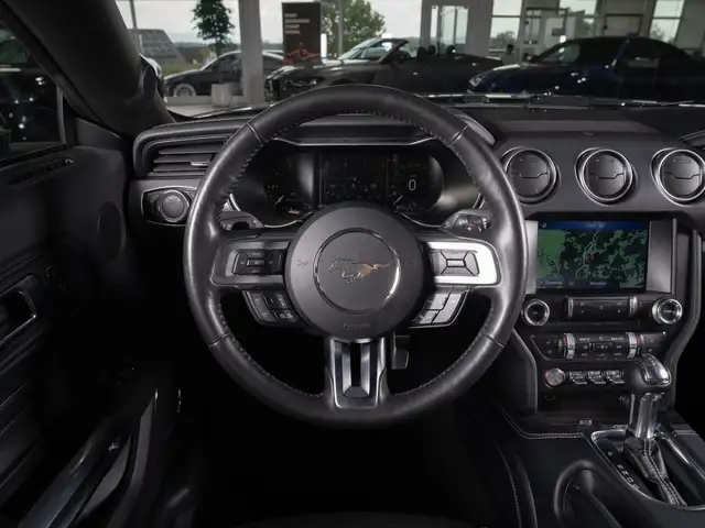 Ford Mustang view 11