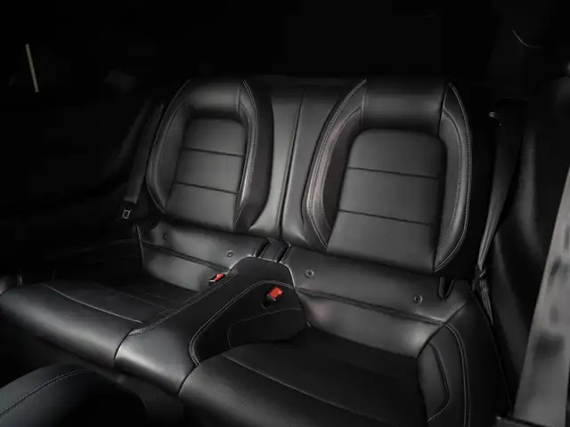 Ford Mustang view 15