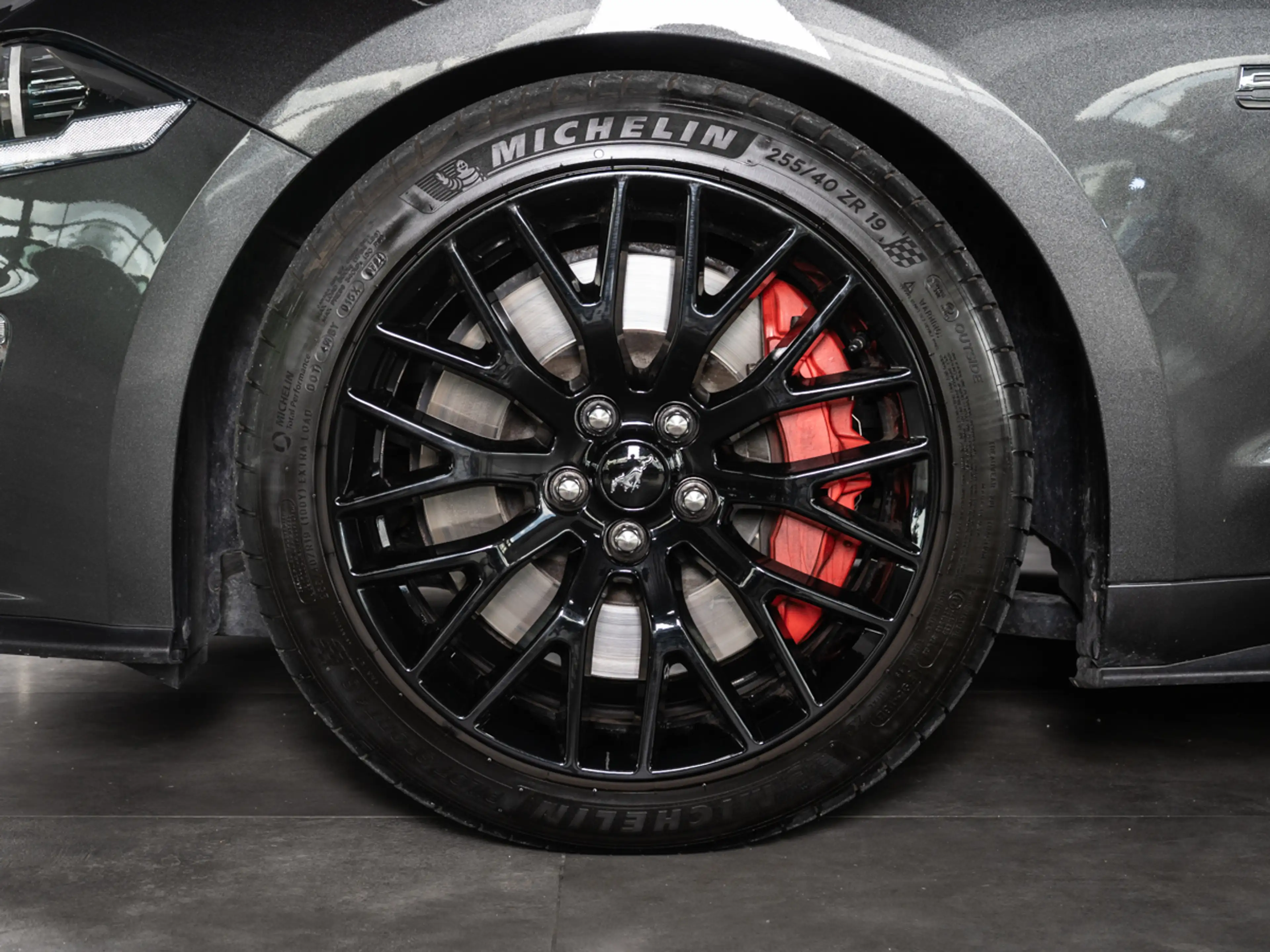 Ford Mustang GT 5.0 Ti-VCT V8 Fastback  *MAGNERIDE* — photo 4