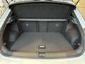 Volkswagen T-Roc R-Line 1.0 TSI LED Navi ACC Allwetter Weiß - thumbnail 9