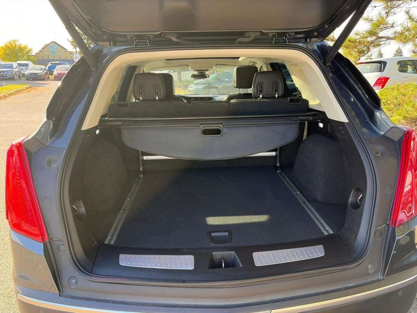 Image 11