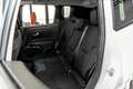 Jeep Renegade Renegade 1.6 mjt Night Eagle 120cv 2wd Alb - thumbnail 24
