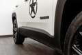 Jeep Renegade Renegade 1.6 mjt Night Eagle 120cv 2wd Alb - thumbnail 9