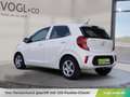 Kia Picanto 1,0 MPI Caritas Weiß - thumbnail 3