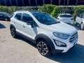 Ford EcoSport EcoSport 2018 1.0 ecoboost Active s Bianco - thumbnail 3