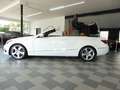 Mercedes-Benz E 200 Cabrio Aut Sportpaket/Neck-Pro/LED/Parkass Wit - thumbnail 10