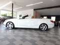 Mercedes-Benz E 200 Cabrio Aut Sportpaket/Neck-Pro/LED/Parkass Wit - thumbnail 11