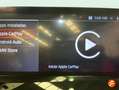 BMW Z4 sDrive 20iA Gris - thumbnail 40