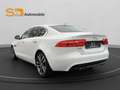 Jaguar XE Prestige*2.Hand*Scheckheft*Kamera*Aut. Weiß - thumbnail 3
