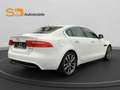 Jaguar XE Prestige*2.Hand*Scheckheft*Kamera*Aut. Weiß - thumbnail 5