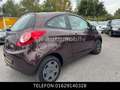 Ford Ka/Ka+ Champions Edition*KLIMA*SHZ*HU/AU NEU* Violett - thumbnail 5