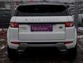 Land Rover Range Rover Evoque Dynamic 2,2 TD4 Aut. Blanc - thumbnail 5
