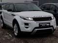 Land Rover Range Rover Evoque Dynamic 2,2 TD4 Aut. Blanc - thumbnail 3