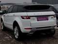 Land Rover Range Rover Evoque Dynamic 2,2 TD4 Aut. Blanc - thumbnail 6