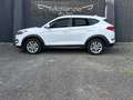 Hyundai TUCSON Tucson 1.6 crdi Exellence 2wd 115cv Bianco - thumbnail 8