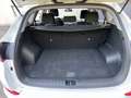 Hyundai TUCSON Tucson 1.6 crdi Exellence 2wd 115cv Bianco - thumbnail 6
