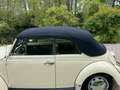 Volkswagen Kever Cabriolet Karmann Ghia 1970 Platte ruit #TIJDLOOS Beżowy - thumbnail 9