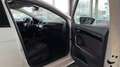 SEAT Ibiza FR Blanc - thumbnail 11