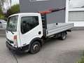 Nissan Cabstar 35.13 L3 3,5t 2,5 DCI pro Weiß - thumbnail 1