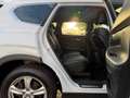 Hyundai SANTA FE 2.2 CRDi Prime 4WD 360 LEDER MEM HUD Weiß - thumbnail 7