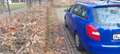 Skoda Fabia 1.4 16V Combi 1 Hand, Neu  Zahnriemen, und Auspuff Blue - thumbnail 14