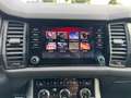 Skoda Kodiaq RS 4x4 2.0 Bi-TDI Led Navi AHK ACC SmartLink Blau - thumbnail 15