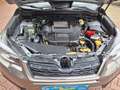 Subaru Forester 2.0D Exclusive, Euro 6, AHK Beige - thumbnail 6