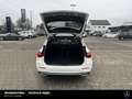 Mercedes-Benz C 220 C 220 T d 4M Avantgarde Pano 360° Standh. NP76 Blanc - thumbnail 18