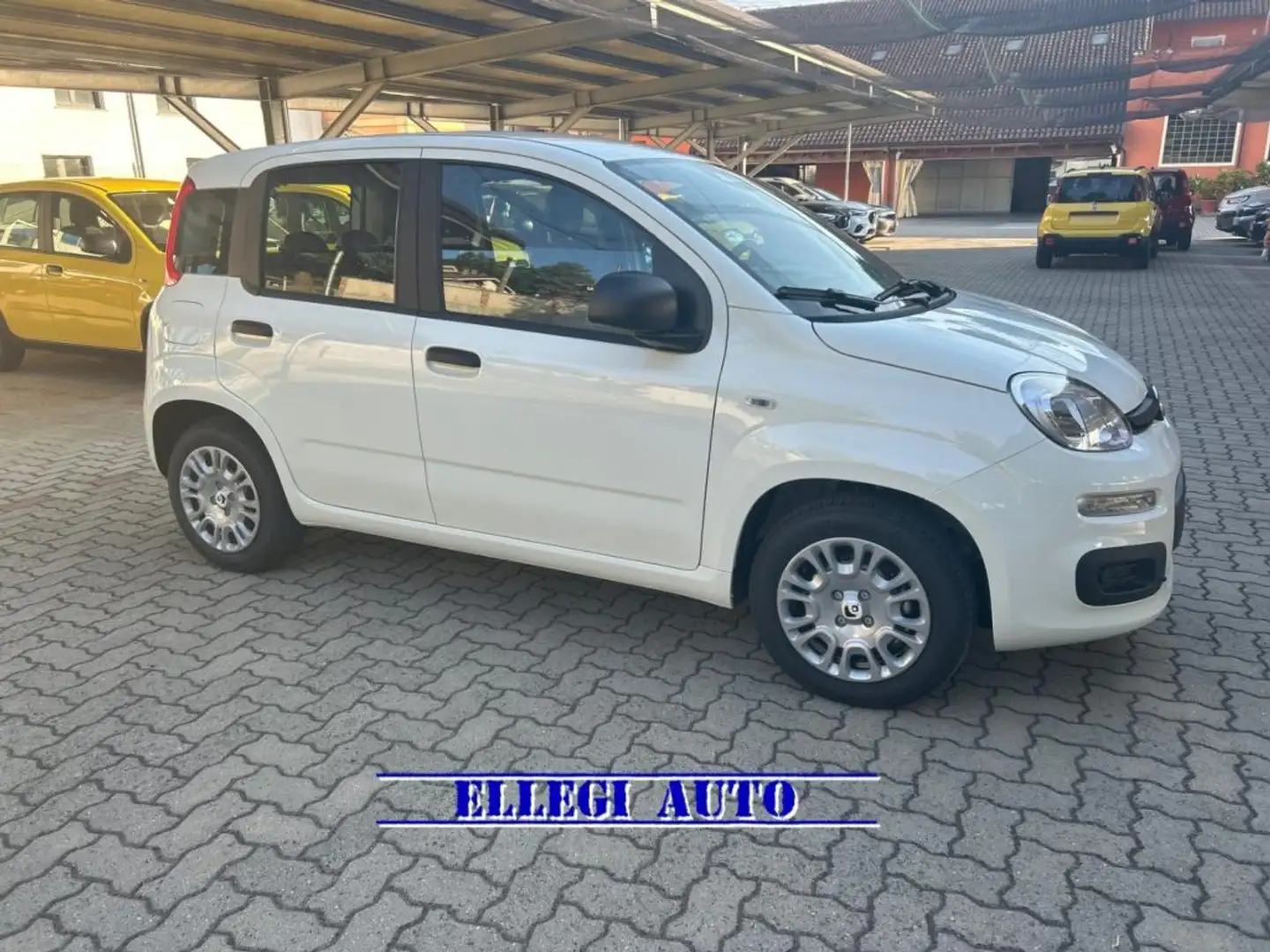 Fiat Panda 1.0 HYBRID 5 POSTI +PACK CITY KM 0 Bianco - 2