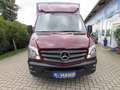 Mercedes-Benz Sprinter 214 CDI Sprinter 906.113 Pritsche+Plane Rot - thumbnail 5