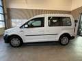 Volkswagen Caddy Kombi Trendline 2,0 TDI 4MOTION AHK  Ledermulti... Weiß - thumbnail 4