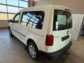 Volkswagen Caddy Kombi Trendline 2,0 TDI 4MOTION AHK  Ledermulti... Weiß - thumbnail 10