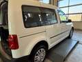 Volkswagen Caddy Kombi Trendline 2,0 TDI 4MOTION AHK  Ledermulti... Weiß - thumbnail 14