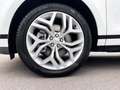 Land Rover Range Rover Evoque RR Evoque P200 R-DYNAMIC SE AWD Automatik ACC Weiß - thumbnail 9