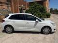 Citroen C4 C4 1.6HDi Collection Collection Blanco - thumbnail 12