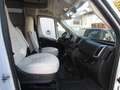 Mobilvetta Krosser 90 Weiß - thumbnail 13