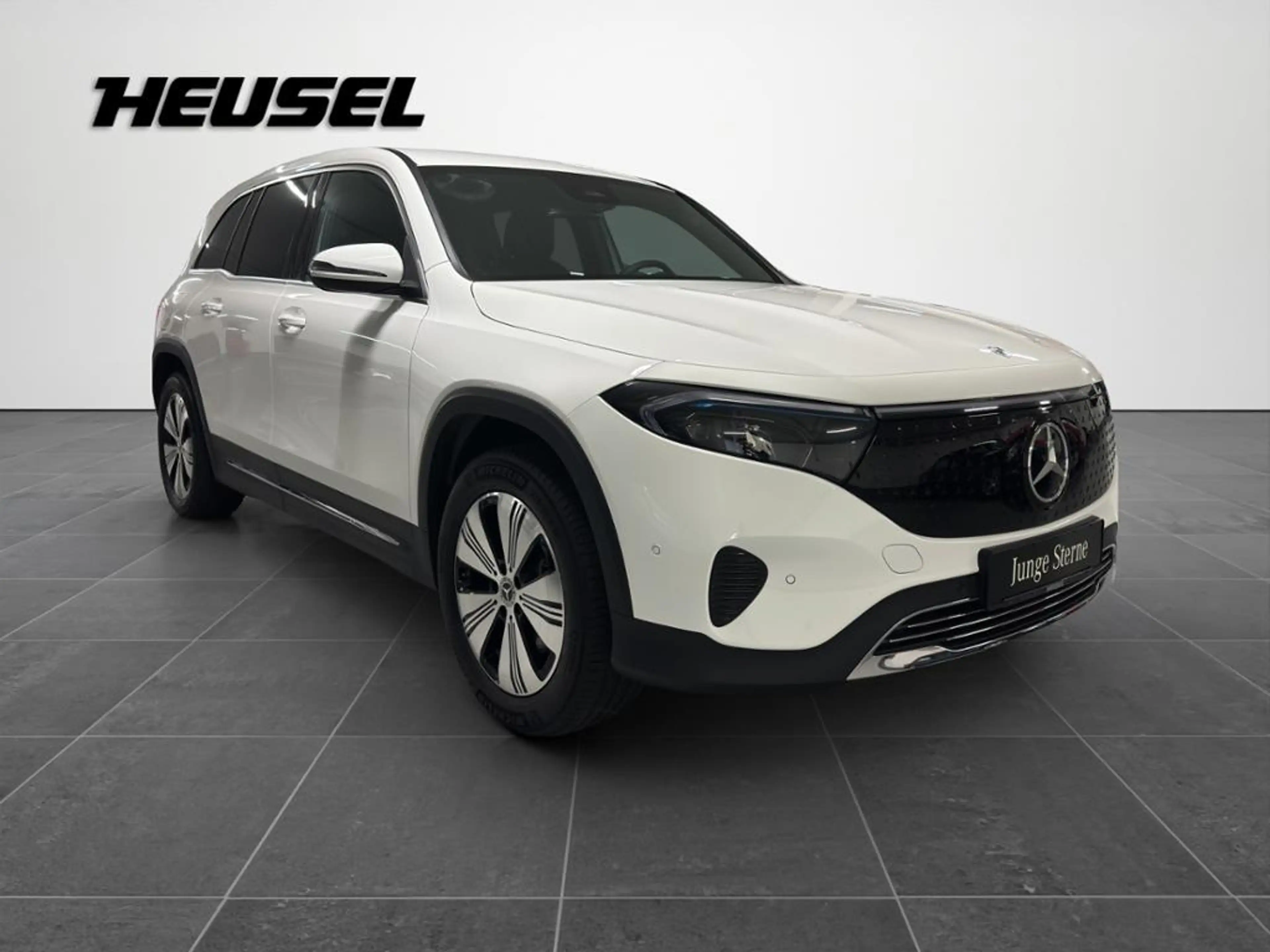 Mercedes-Benz EQB 250 + Progressive *Winter-P*Adv.Sound*Easy-P* — photo 3