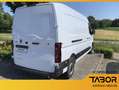 Renault Master FWD Kasten advance L3H2 3,5t Blue dCi 150 Weiß - thumbnail 4