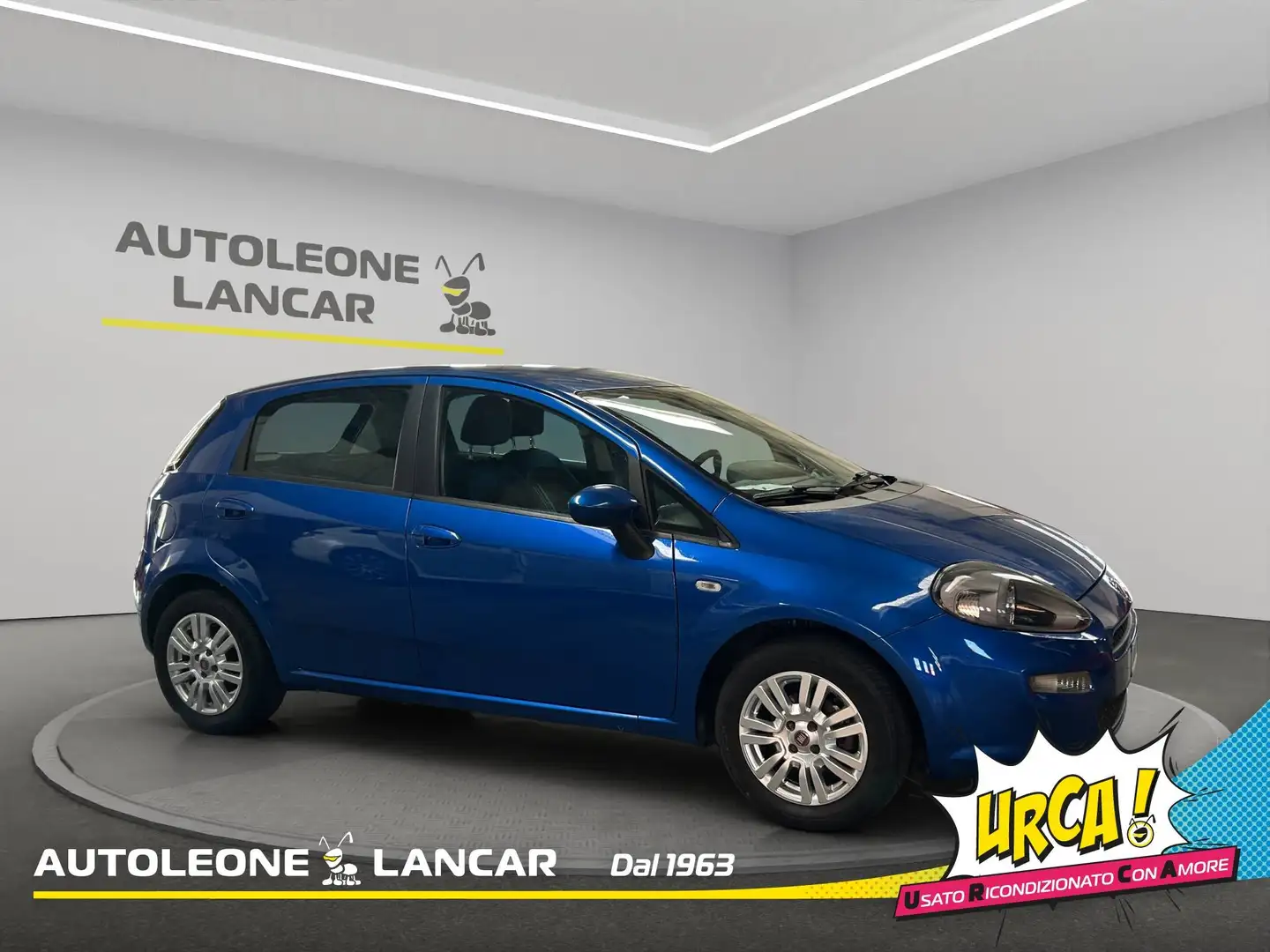 Fiat Punto 5p 1.3 mjt Pop 75cv 5 Posti OK NEOPATENTATI Azul - 1