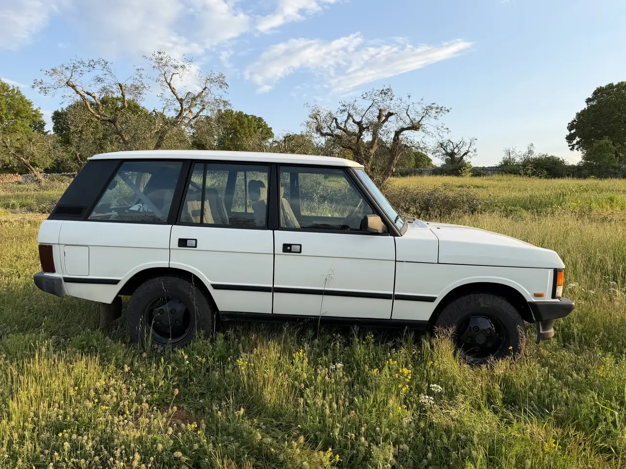 Land Rover Range Rover 4p 2.4 td Vogue, foto 10