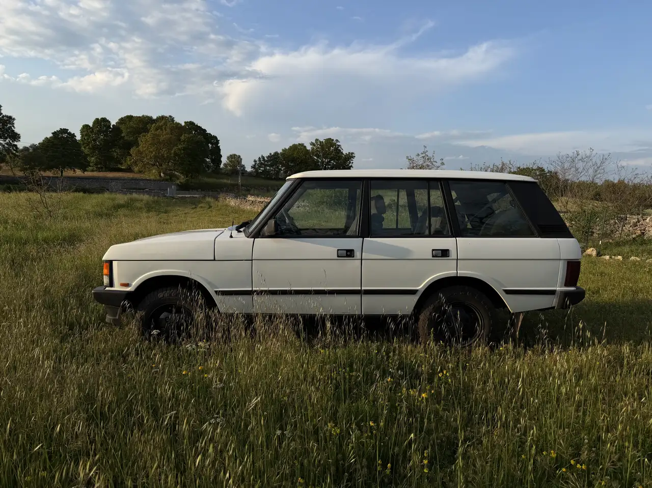 Land Rover Range Rover 4p 2.4 td Vogue, foto 4
