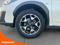 Subaru XV 1.6i Sport CVT Blanco - thumbnail 23