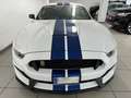 Ford Mustang Shelby GT350 Weiß - thumbnail 13