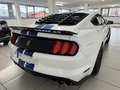 Ford Mustang Shelby GT350 Weiß - thumbnail 10