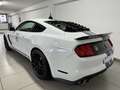 Ford Mustang Shelby GT350 Weiß - thumbnail 9