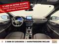 Ford Kuga 1.5 ecoblue st-line 2wd 120cv Blu/Azzurro - thumbnail 11