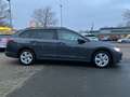 Volkswagen Golf VIII Variant 1.5 TSI Life SHZ LHZ NAVI ACC Gris - thumbnail 6