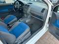 Volkswagen Polo IV Comfortline*AUTOMATIK*KLIMA*SERVO*SHZ* Blanc - thumbnail 5