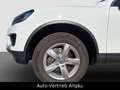 Volkswagen Touareg V6 TDI BMT/Start-Stopp 4Motion, AHK,SHZ Blanc - thumbnail 2